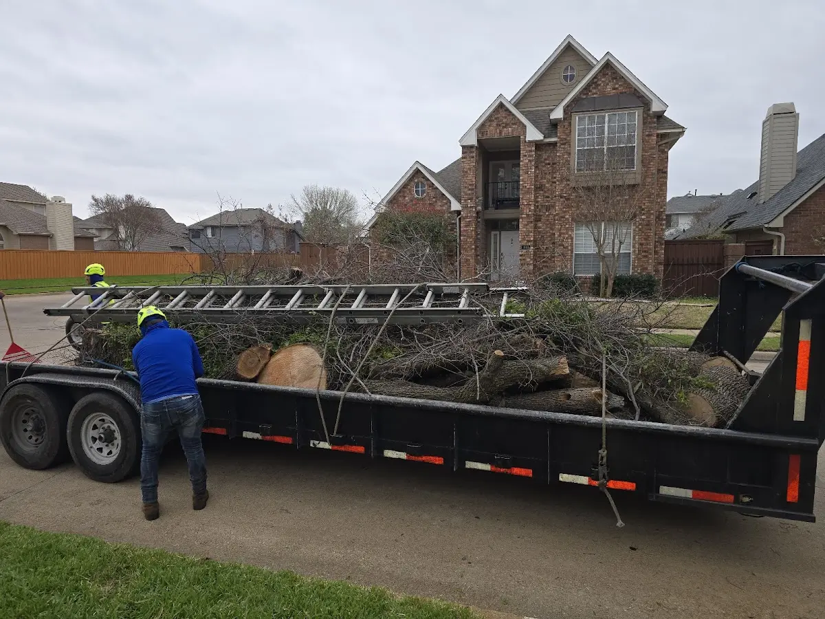 Expert Lot Clearing with proper safety equipment in Pleasant Hill